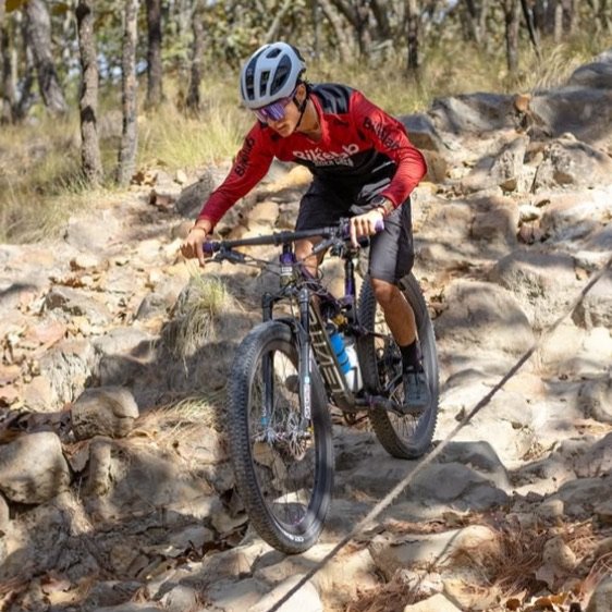 Rider Bikelab bajando una sección de rocas en el bosque